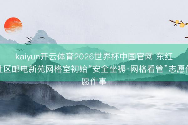 kaiyun开云体育2026世界杯中国官网 东红庙社区邮电新苑网格室初始“安全坐褥·网格看管”志愿作事